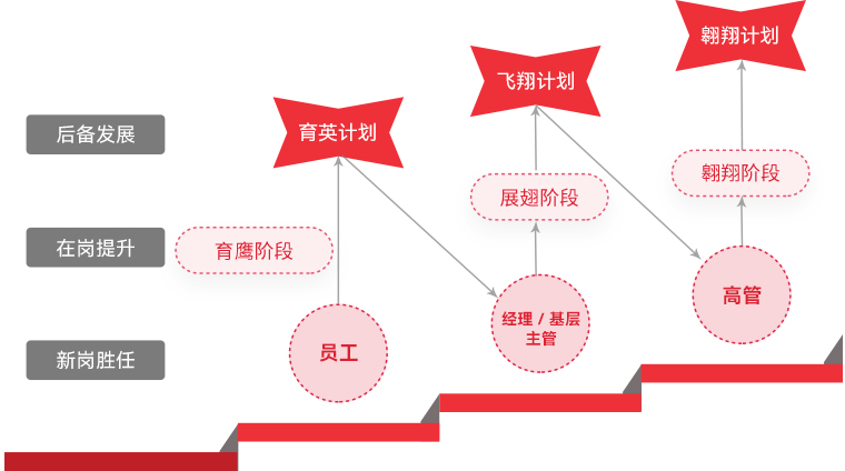 K8凯发 "雄鹰计划"人才梯队培养